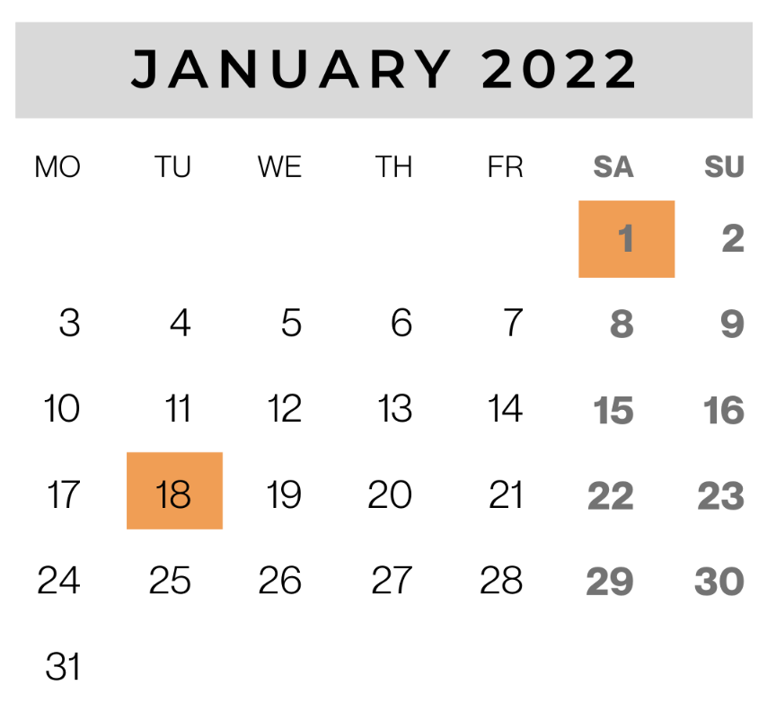 wonder minds january timetable